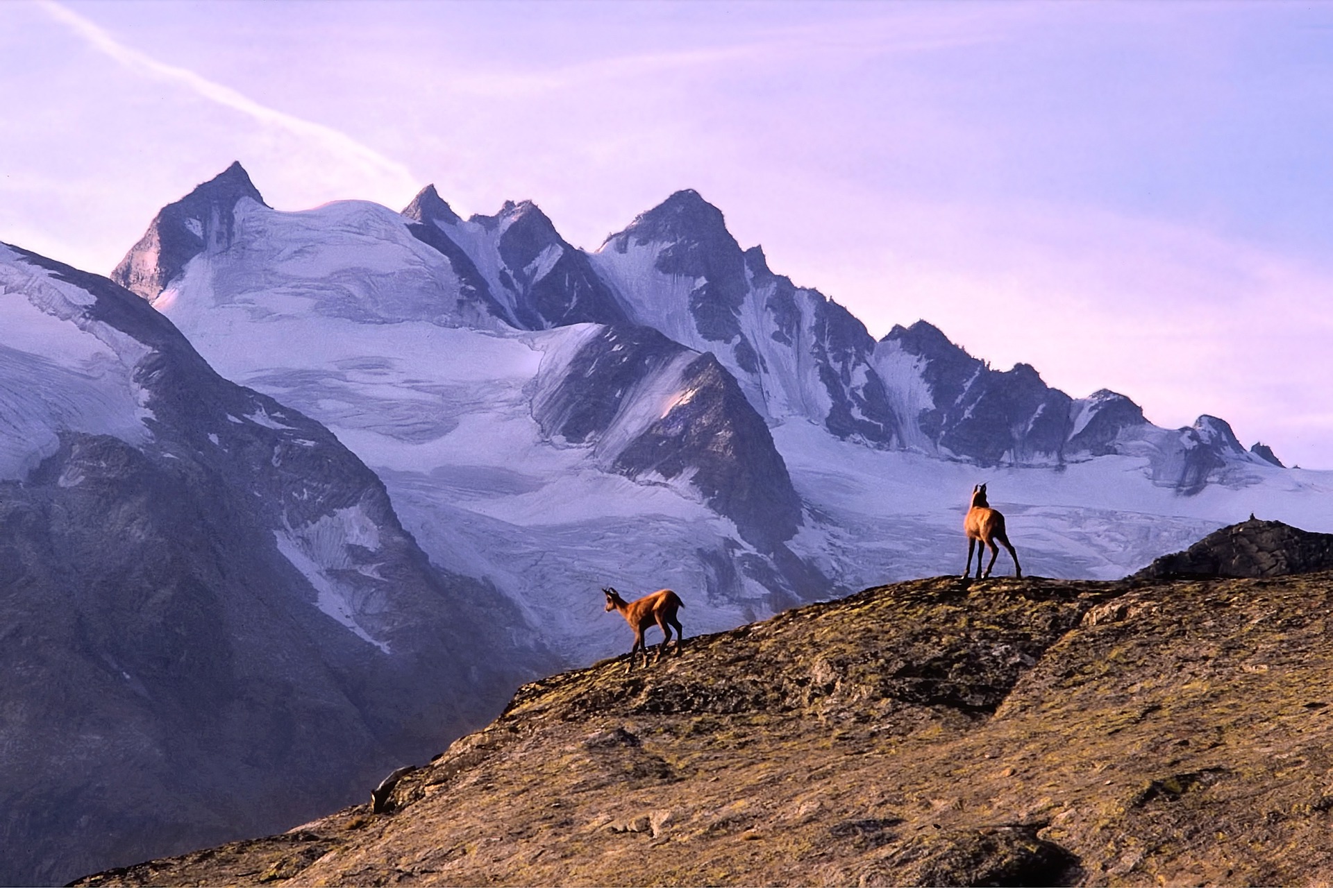 Gran Paradiso 3000pixel