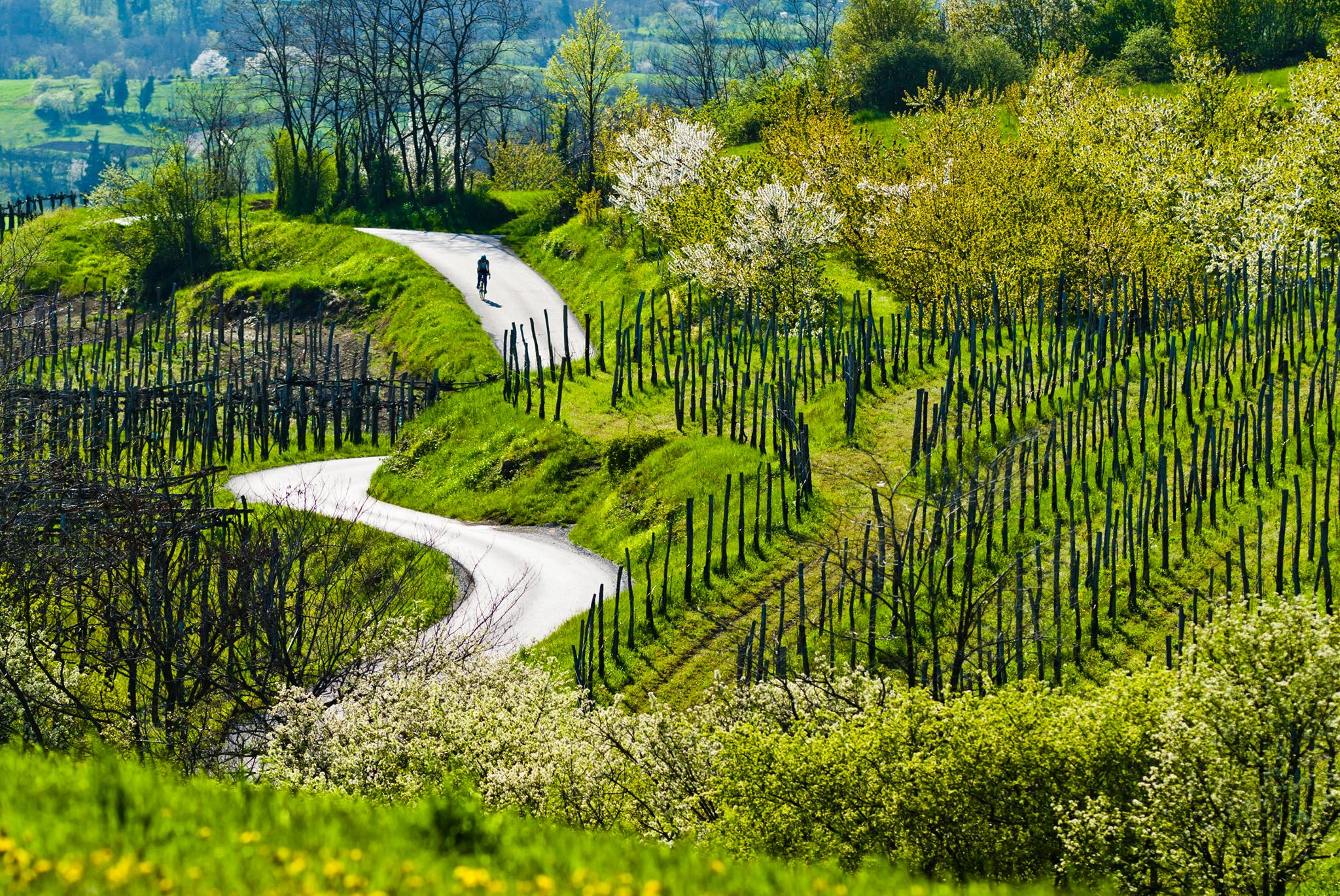 Vipava Vipava