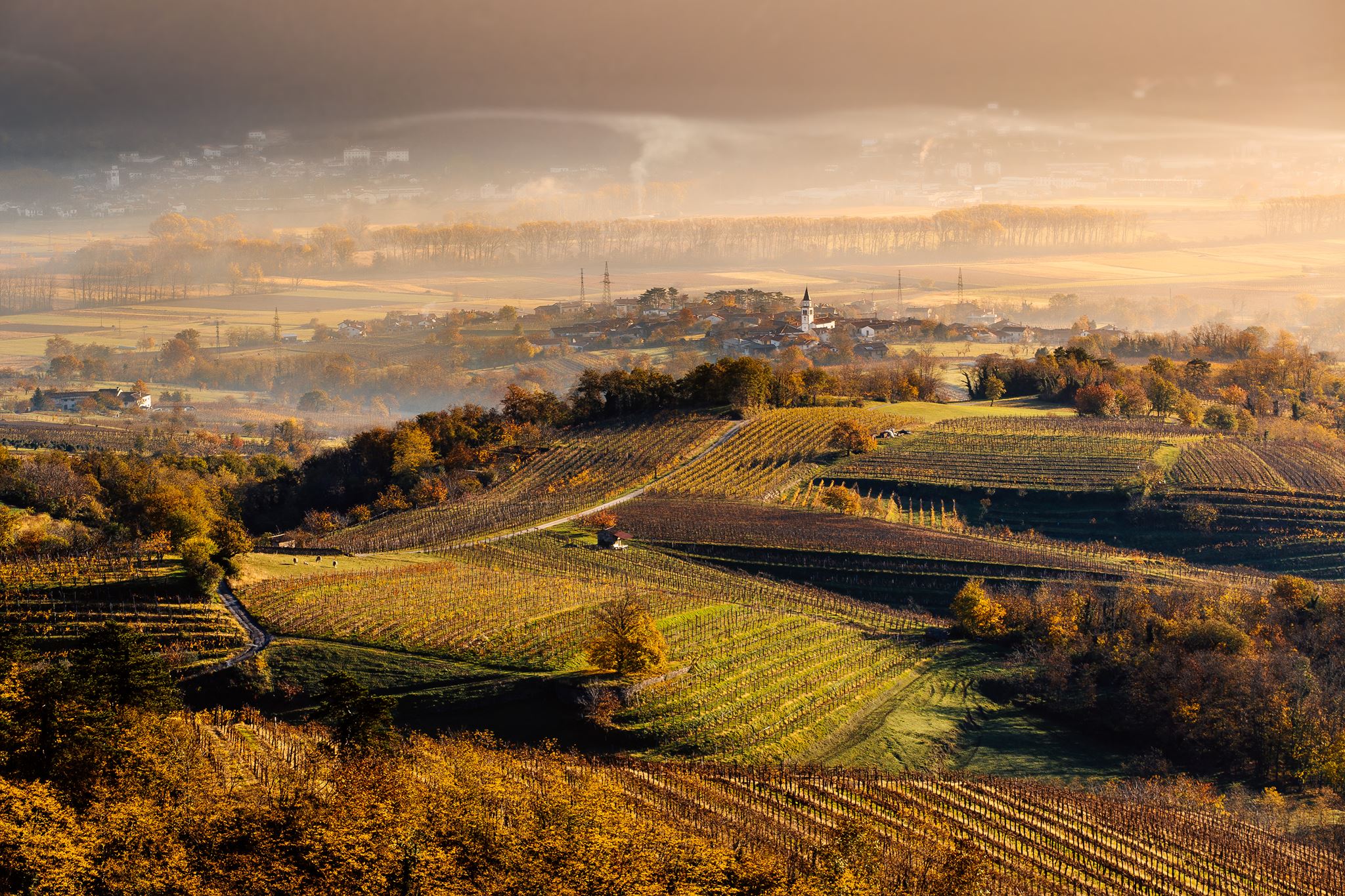 Vipava Vipava