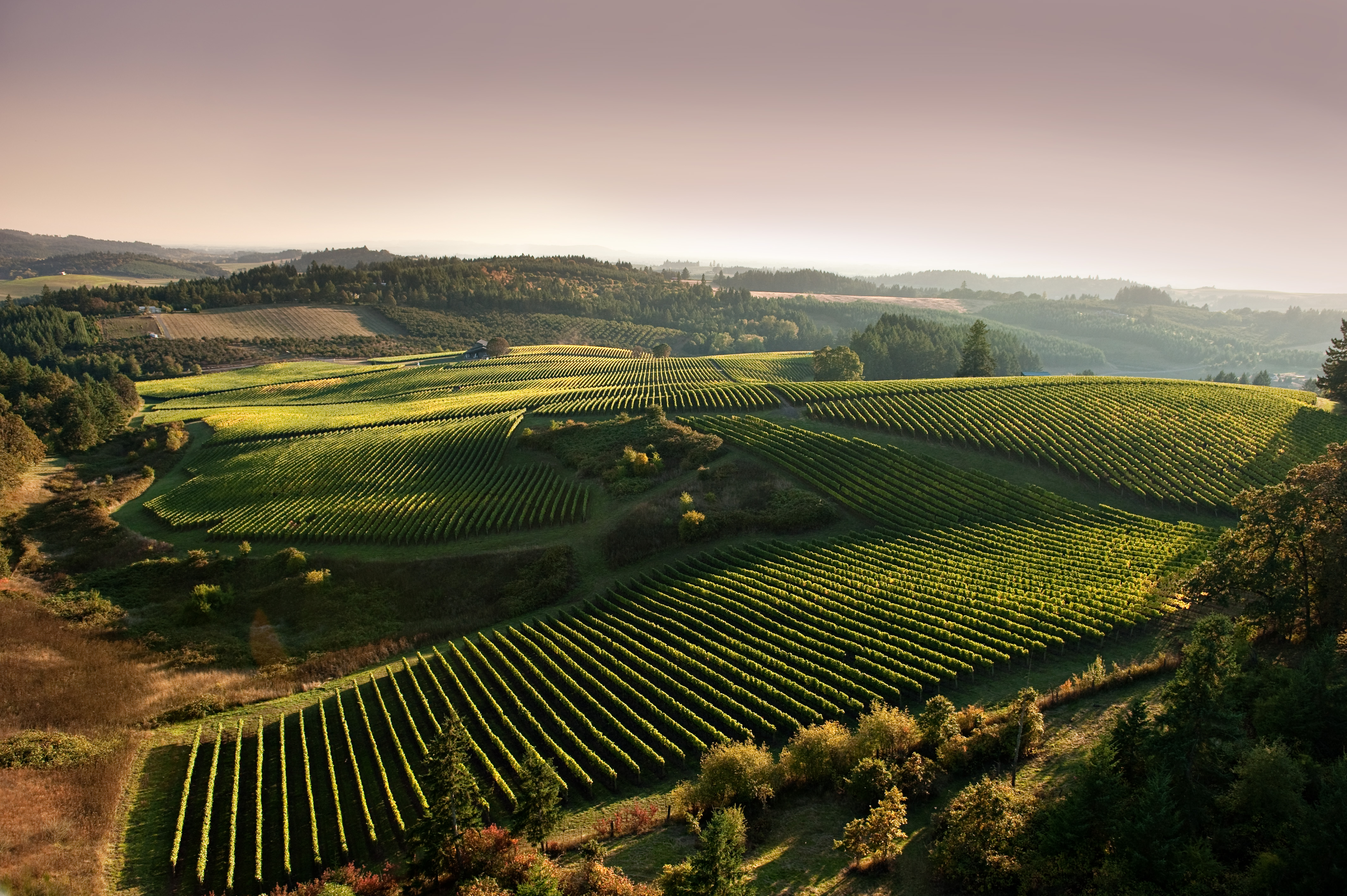 Willamette Valley