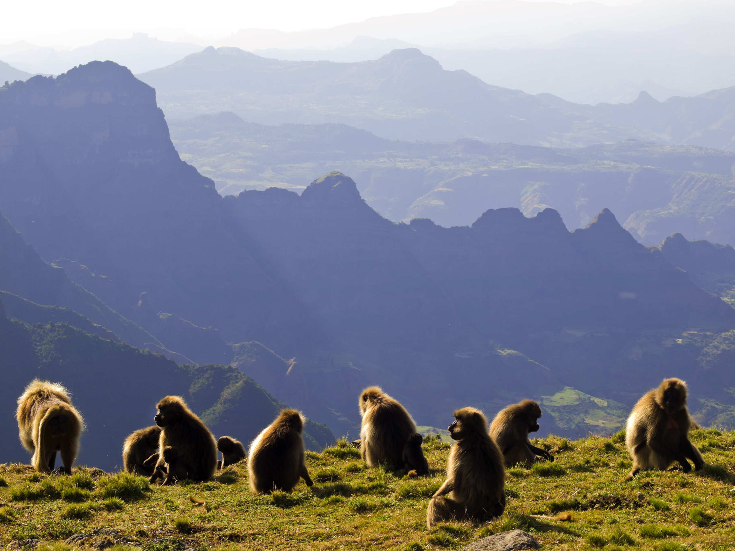 Etiopia Etiopia