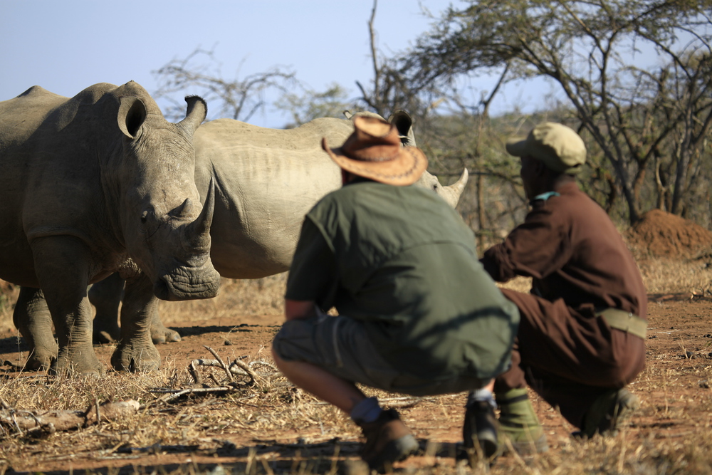 Mkhaya Game Reserve