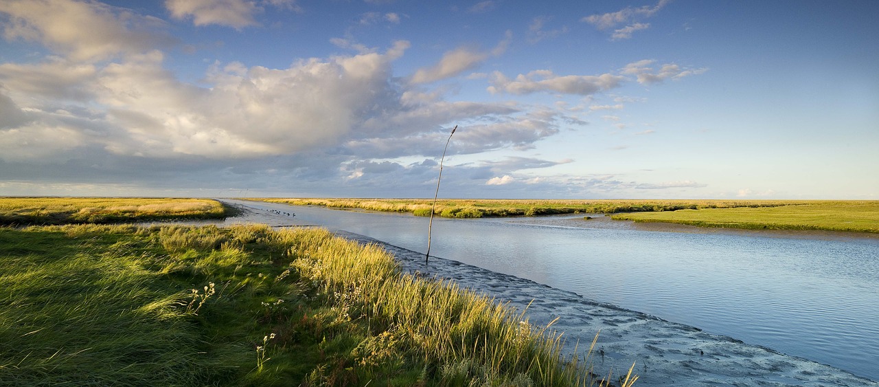 Waddenzee Waddenzee