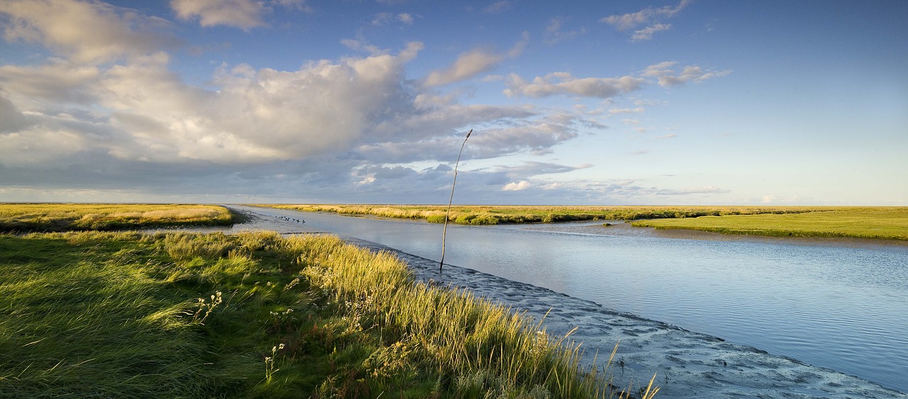 Waddenzee