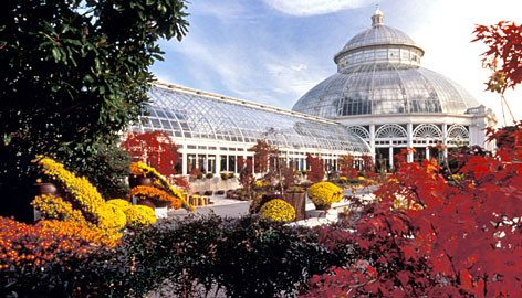 New York Botanical Garden