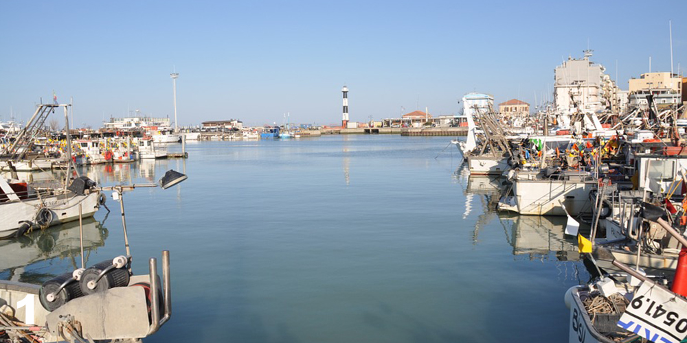 cattolica