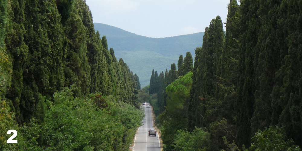 bolgheri