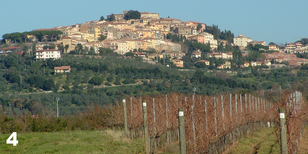 castagneto carducci