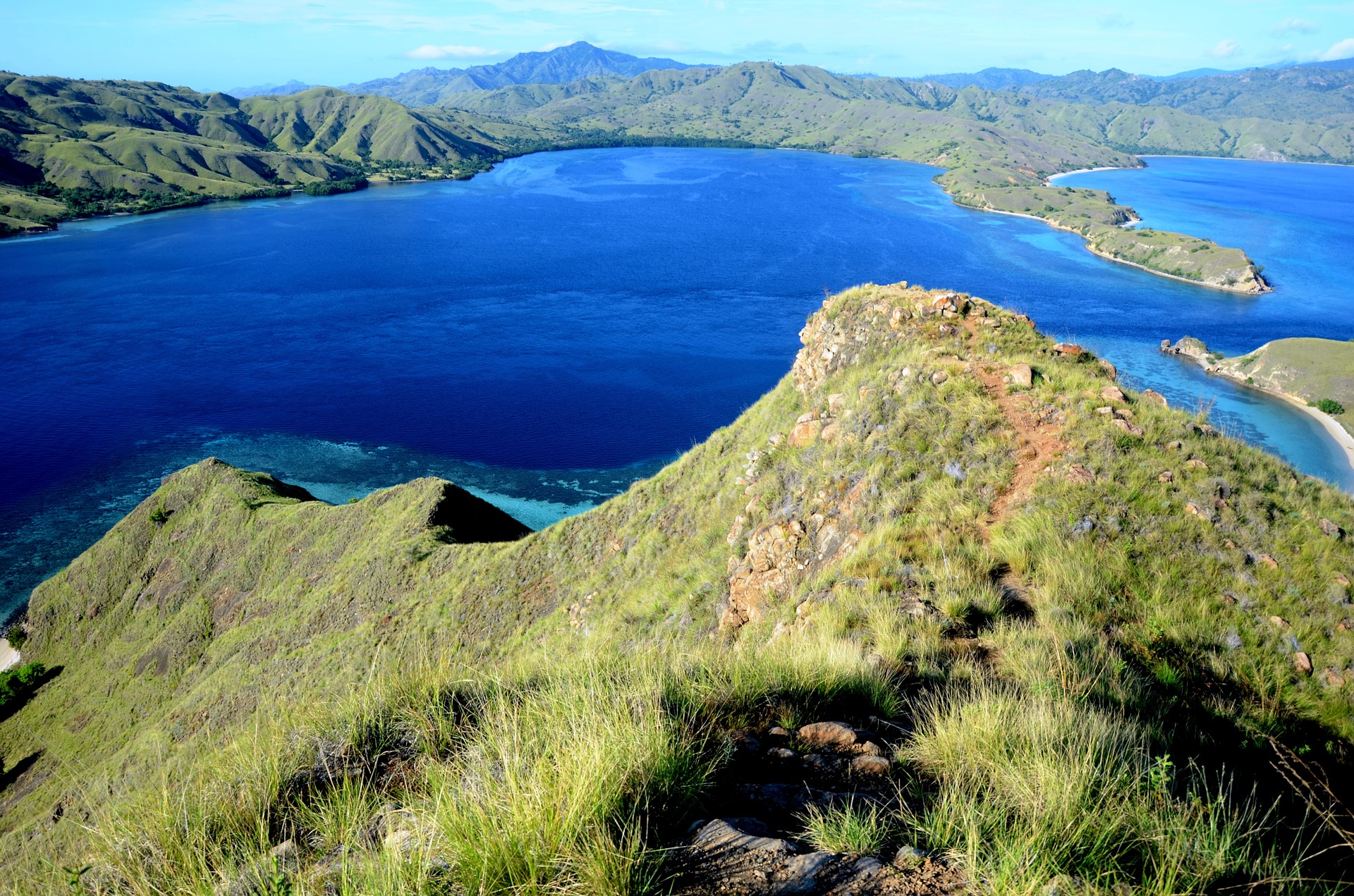 Komodo  