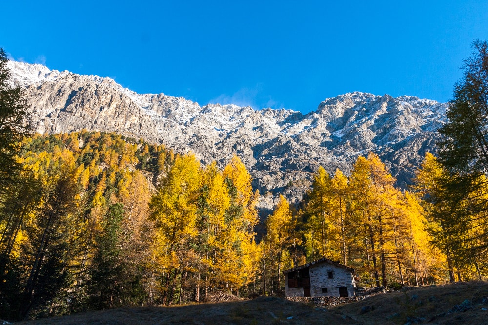 Valtellina