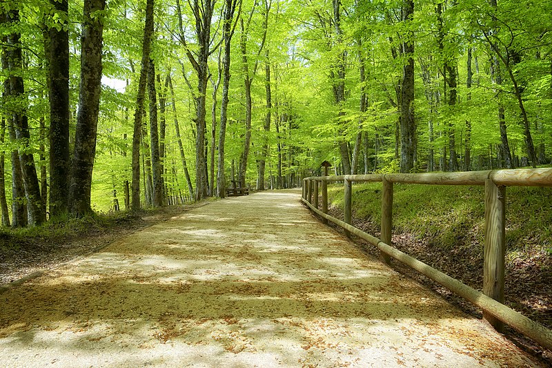 Parco Nazionale del Gargano