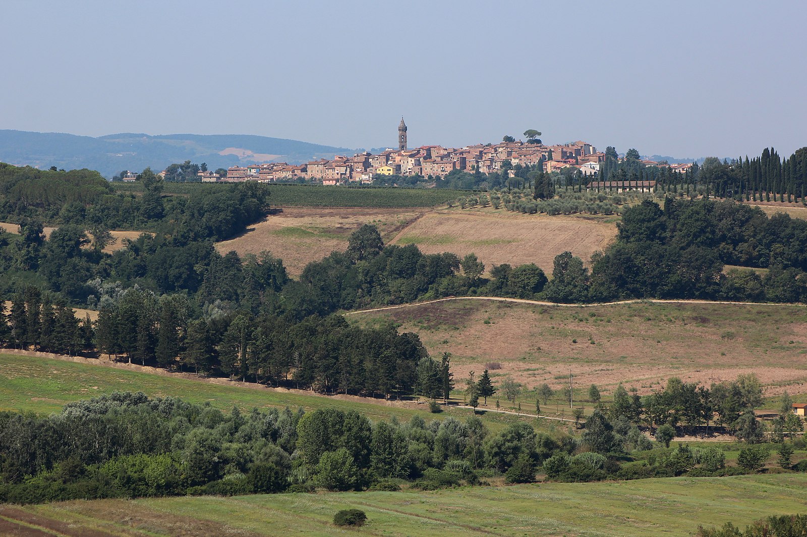 peccioli