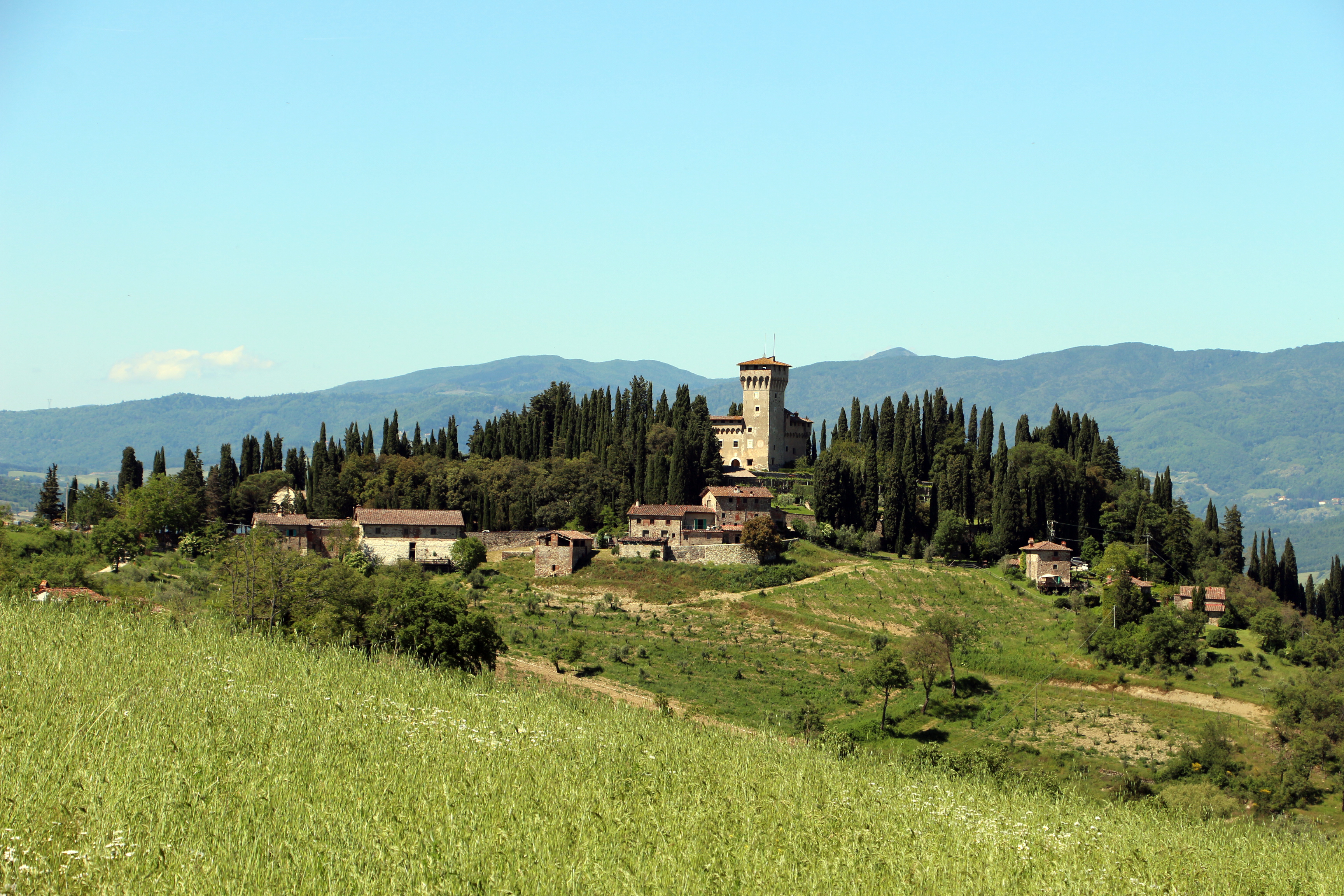 villa medicea di trebbio 