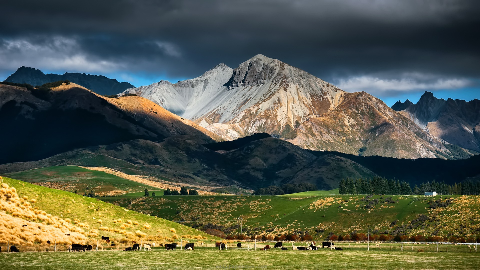 taranaki