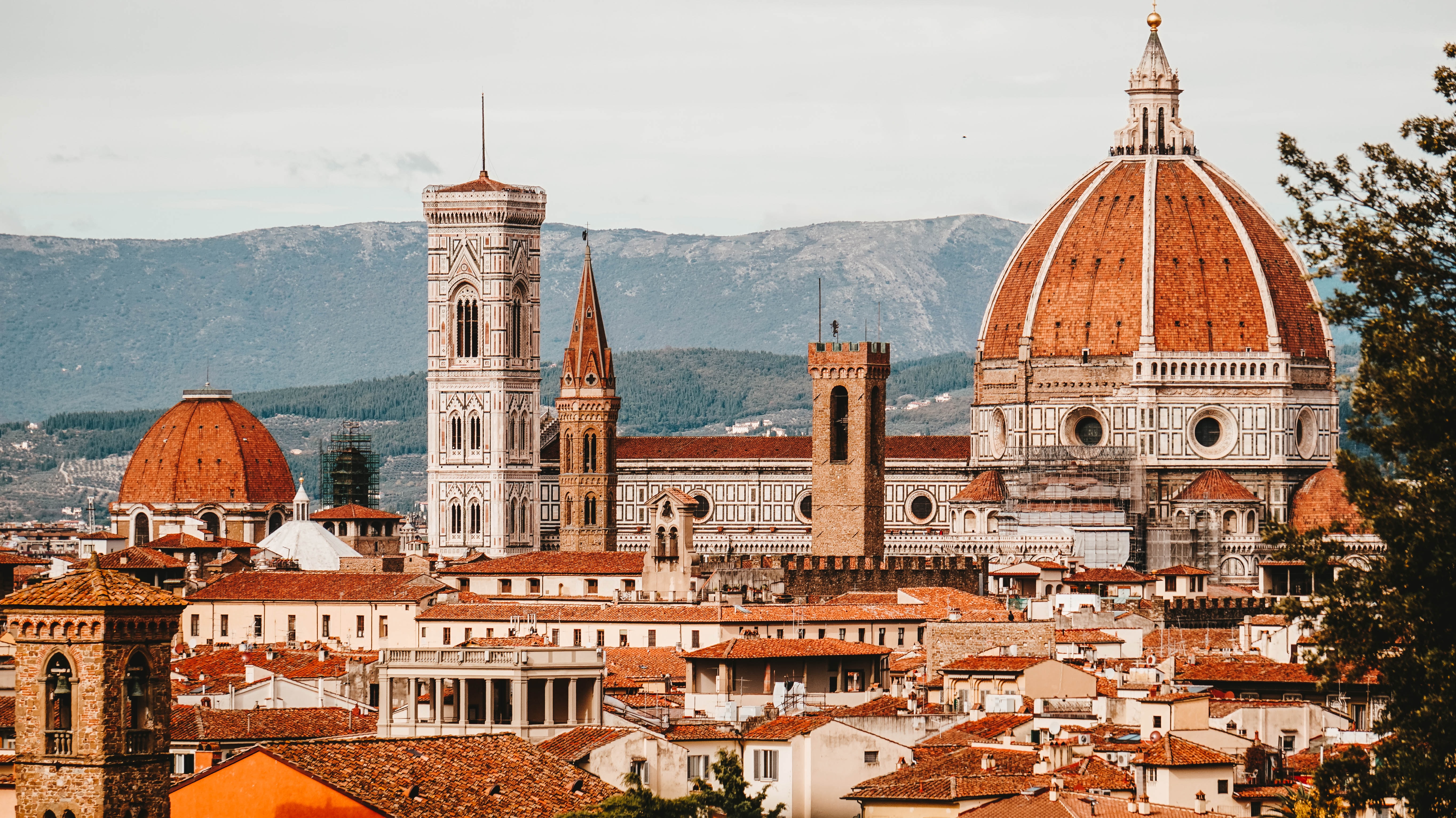 firenze 3000pixel