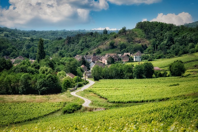 borgogna borgogna