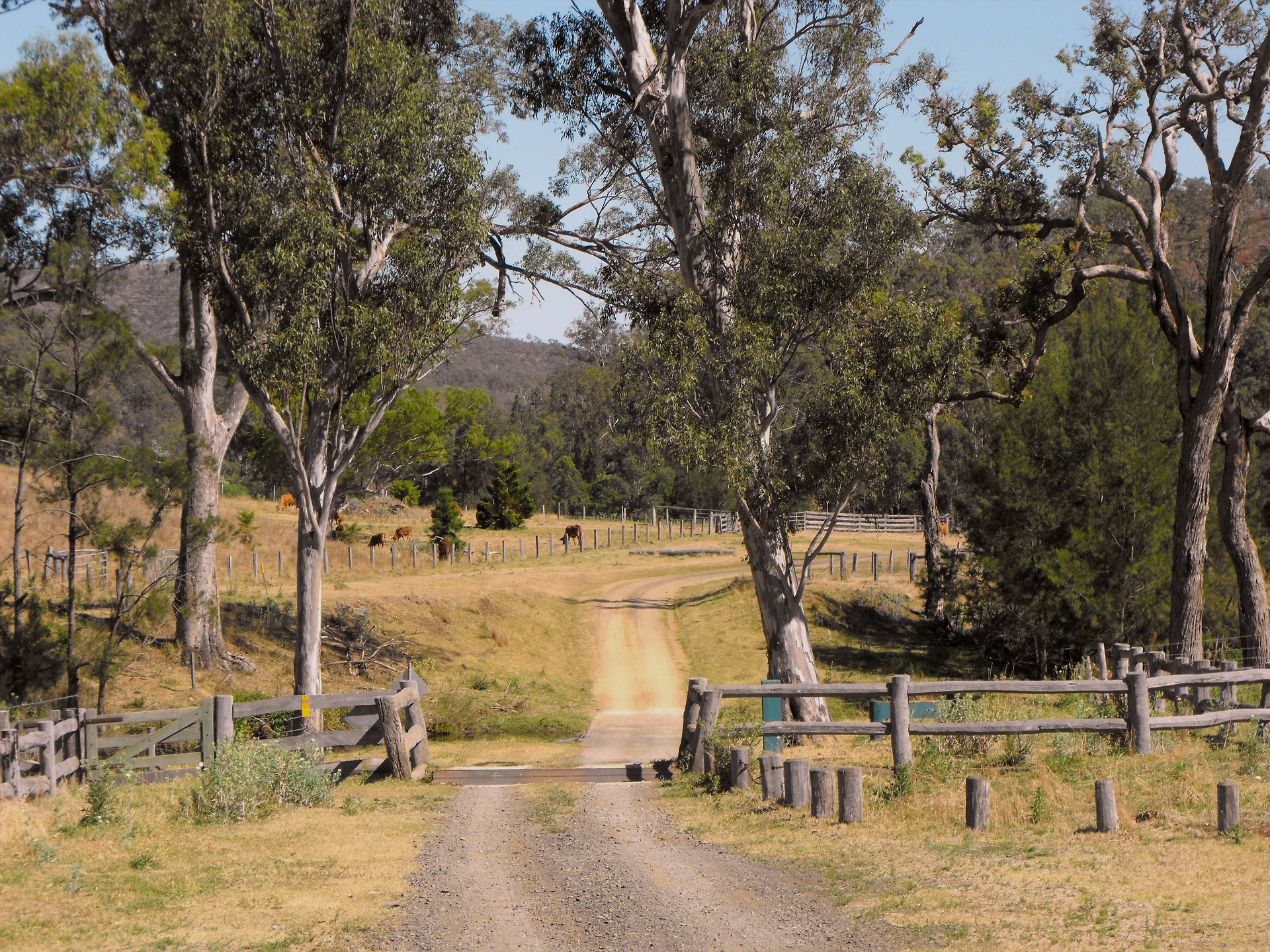 atacama queensland