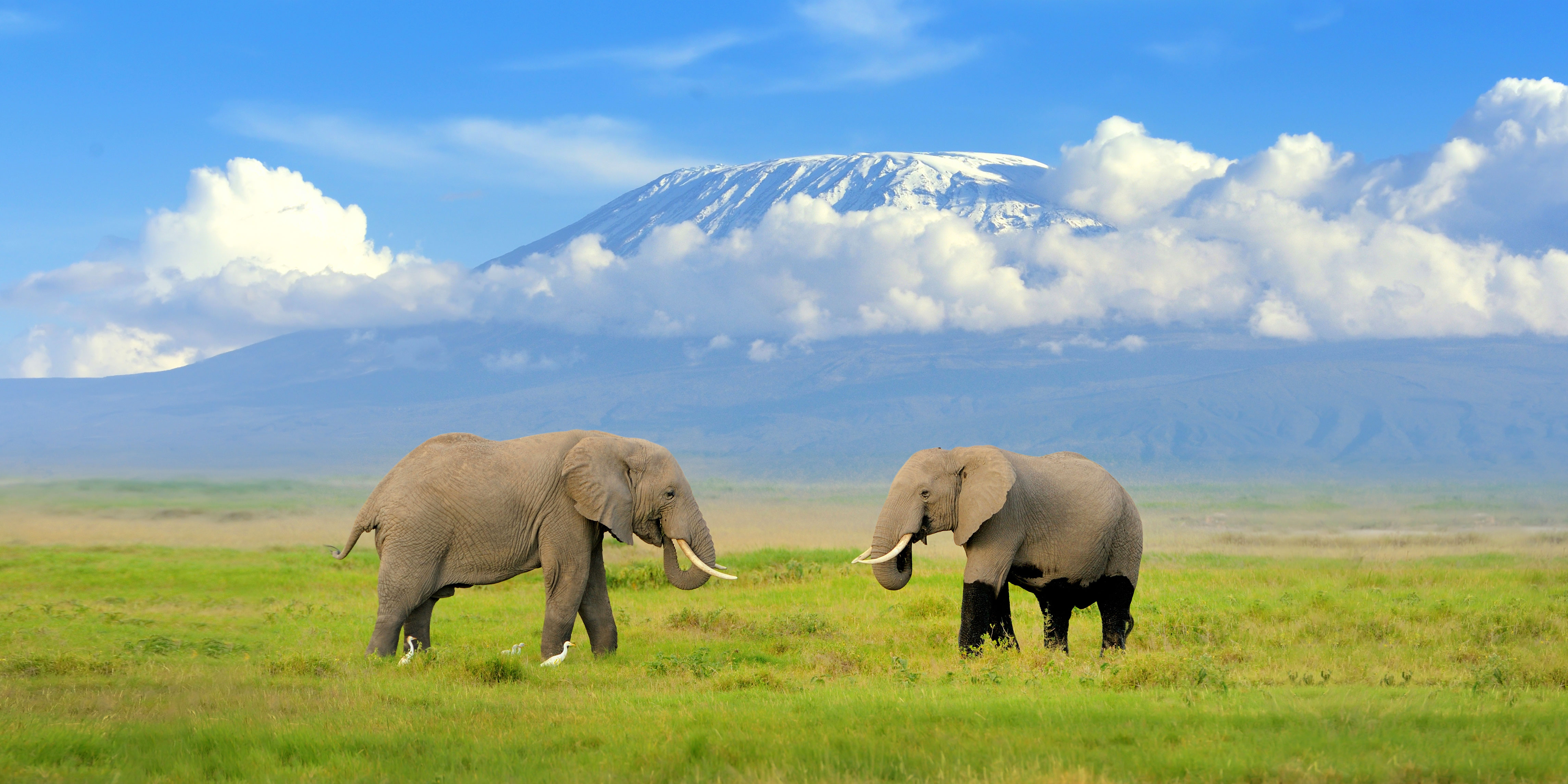 Laikipia