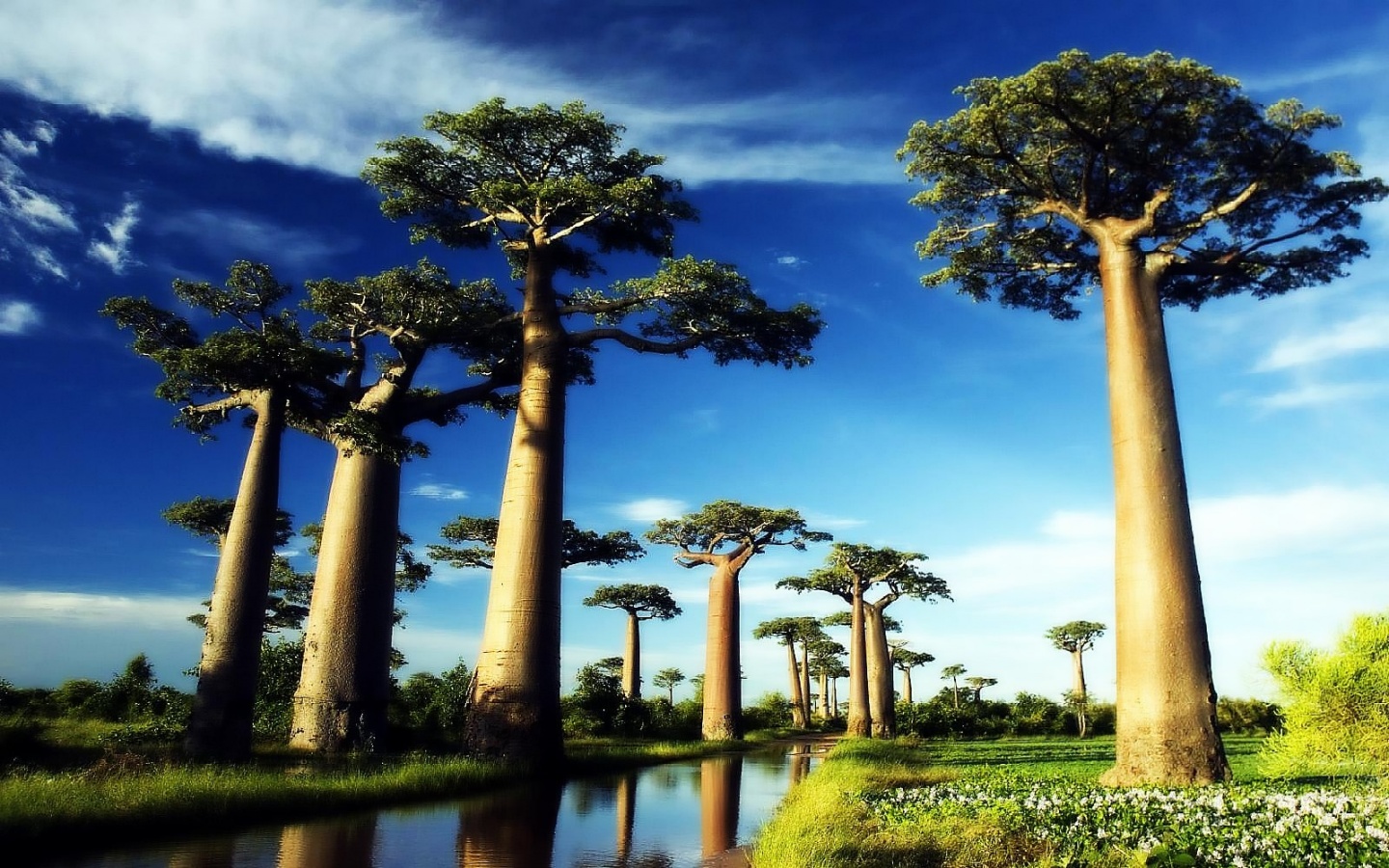 madagascar