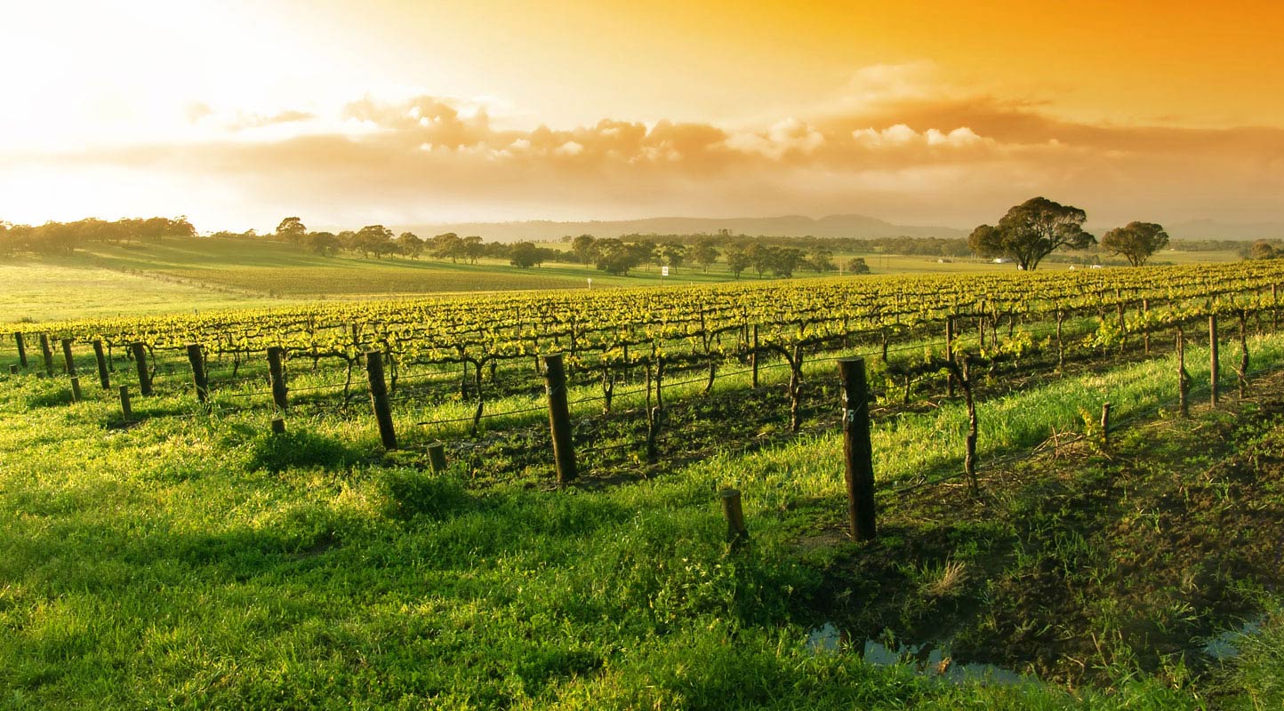 napa