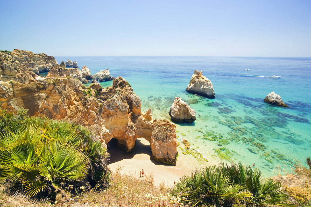comporta comporta